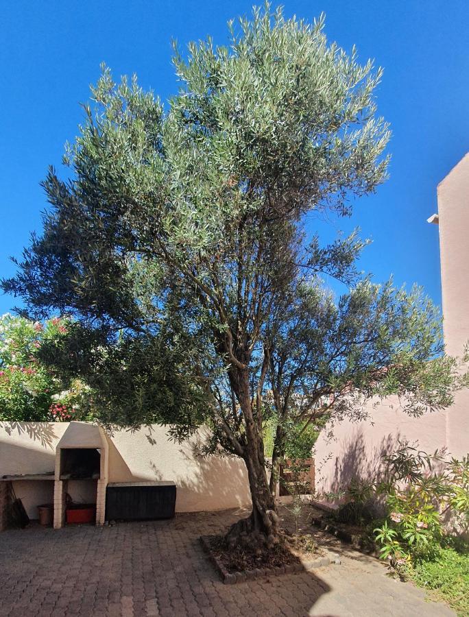 Appartement Avec Vaste Terrasse A 30 M Des Dunes Agde Eksteriør billede